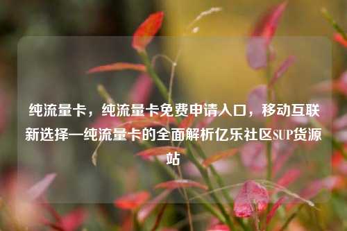 纯流量卡	，纯流量卡免费申请入口，移动互联新选择—纯流量卡的全面解析亿乐社区SUP货源站  第1张
