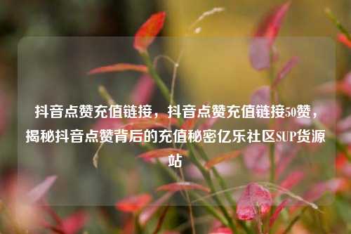 抖音点赞充值链接，抖音点赞充值链接50赞，揭秘抖音点赞背后的充值秘密亿乐社区SUP货源站  第1张