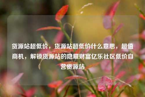 货源站超低价，货源站超低价什么意思，超值商机	，解锁货源站的隐藏财富亿乐社区低价自营货源站  第1张