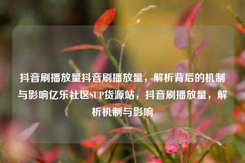 抖音刷播放量抖音刷播放量，解析背后的机制与影响亿乐社区SUP货源站，抖音刷播放量	，解析机制与影响  第1张