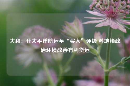 大和：升太平洋航运至“买入”评级 料地缘政治环境改善有利货运  第1张