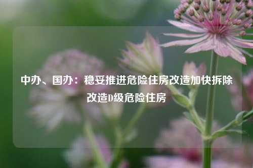 中办、国办：稳妥推进危险住房改造加快拆除改造D级危险住房  第1张