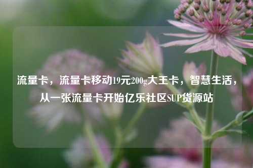 流量卡，流量卡移动19元200g大王卡，智慧生活	，从一张流量卡开始亿乐社区SUP货源站  第1张