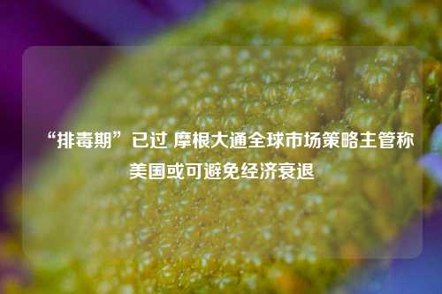 “排毒期	”已过 摩根大通全球市场策略主管称美国或可避免经济衰退  第1张
