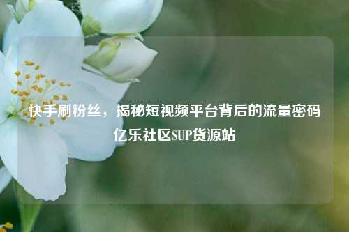 快手刷粉丝	，揭秘短视频平台背后的流量密码亿乐社区SUP货源站  第1张