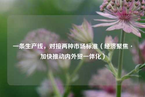 一条生产线，对接两种市场标准（经济聚焦·加快推动内外贸一体化）  第1张