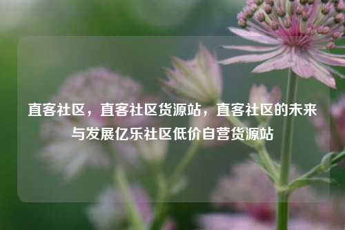直客社区	，直客社区货源站，直客社区的未来与发展亿乐社区低价自营货源站  第1张