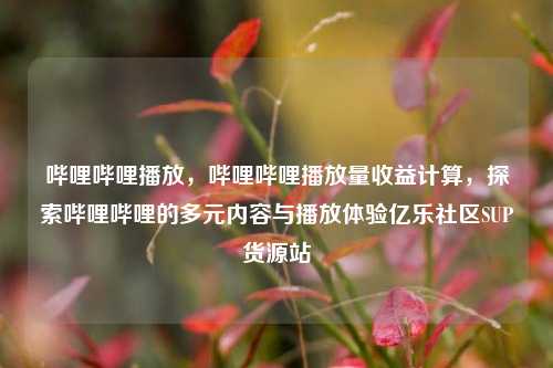 哔哩哔哩播放，哔哩哔哩播放量收益计算	，探索哔哩哔哩的多元内容与播放体验亿乐社区SUP货源站  第1张