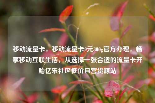 移动流量卡，移动流量卡9元300g官方办理，畅享移动互联生活	，从选择一张合适的流量卡开始亿乐社区低价自营货源站  第1张