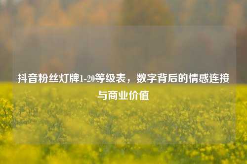 抖音粉丝灯牌1-20等级表	，数字背后的情感连接与商业价值  第1张