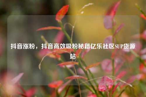 抖音涨粉，抖音高效吸粉秘籍亿乐社区SUP货源站  第1张