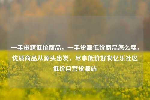 一手货源低价商品，一手货源低价商品怎么卖，优质商品从源头出发	，尽享低价好物亿乐社区低价自营货源站  第1张