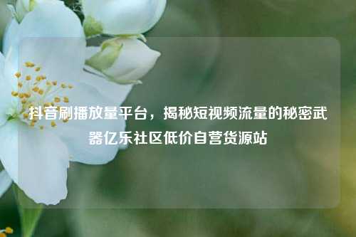 抖音刷播放量平台，揭秘短视频流量的秘密武器亿乐社区低价自营货源站  第1张