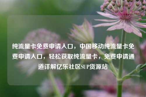 纯流量卡免费申请入口，中国移动纯流量卡免费申请入口，轻松获取纯流量卡，免费申请通道详解亿乐社区SUP货源站  第1张
