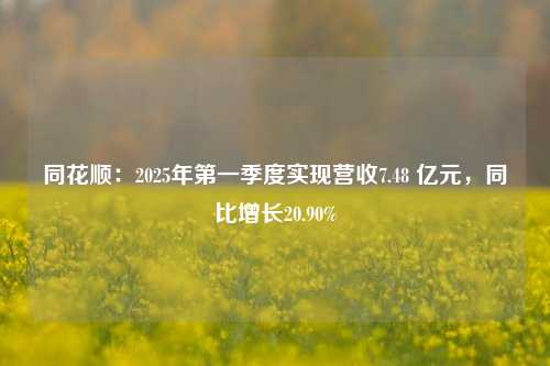 同花顺：2025年第一季度实现营收7.48 亿元	，同比增长20.90%  第1张