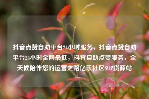 抖音点赞自助平台24小时服务	，抖音点赞自助平台24小时全网最低，抖音自助点赞服务，全天候陪伴您的运营之路亿乐社区SUP货源站  第1张