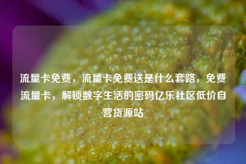 流量卡免费，流量卡免费送是什么套路，免费流量卡	，解锁数字生活的密码亿乐社区低价自营货源站  第1张