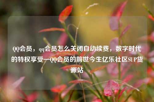 QQ会员，qq会员怎么关闭自动续费	，数字时代的特权享受—QQ会员的前世今生亿乐社区SUP货源站  第1张