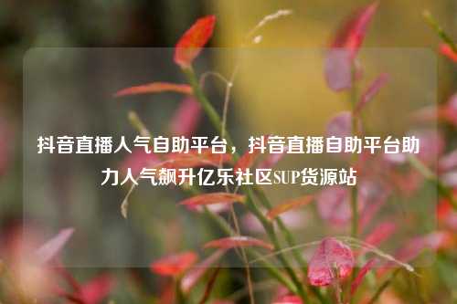 抖音直播人气自助平台，抖音直播自助平台助力人气飙升亿乐社区SUP货源站  第1张