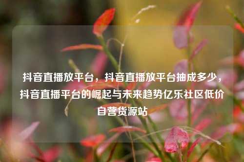 抖音直播放平台，抖音直播放平台抽成多少，抖音直播平台的崛起与未来趋势亿乐社区低价自营货源站  第1张