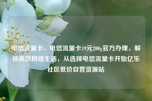 电信流量卡	，电信流量卡19元200g官方办理，解锁高效网络生活，从选择电信流量卡开始亿乐社区低价自营货源站  第1张
