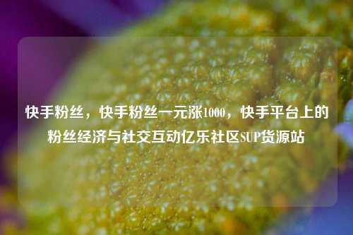 快手粉丝，快手粉丝一元涨1000	，快手平台上的粉丝经济与社交互动亿乐社区SUP货源站  第1张