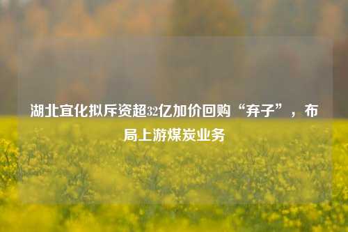 湖北宜化拟斥资超32亿加价回购“弃子	”，布局上游煤炭业务  第1张