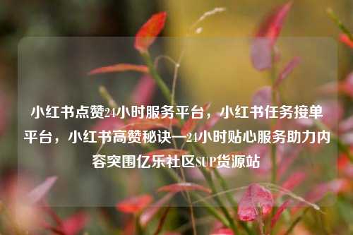 小红书点赞24小时服务平台，小红书任务接单平台	，小红书高赞秘诀—24小时贴心服务助力内容突围亿乐社区SUP货源站  第1张