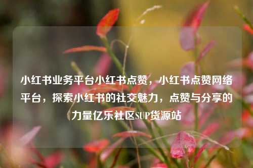 小红书业务平台小红书点赞，小红书点赞网络平台	，探索小红书的社交魅力，点赞与分享的力量亿乐社区SUP货源站  第1张