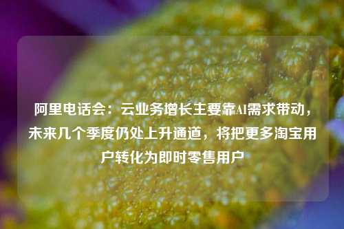 阿里电话会：云业务增长主要靠AI需求带动	，未来几个季度仍处上升通道，将把更多淘宝用户转化为即时零售用户  第1张