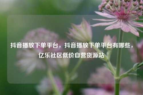 抖音播放下单平台	，抖音播放下单平台有哪些，亿乐社区低价自营货源站  第1张