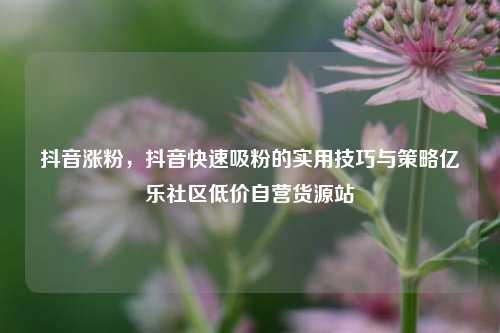 抖音涨粉，抖音快速吸粉的实用技巧与策略亿乐社区低价自营货源站  第1张