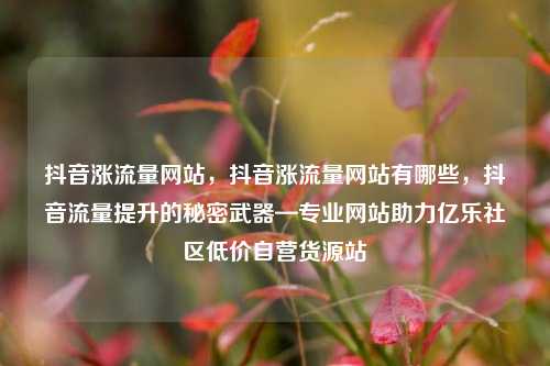 抖音涨流量网站，抖音涨流量网站有哪些	，抖音流量提升的秘密武器—专业网站助力亿乐社区低价自营货源站  第1张