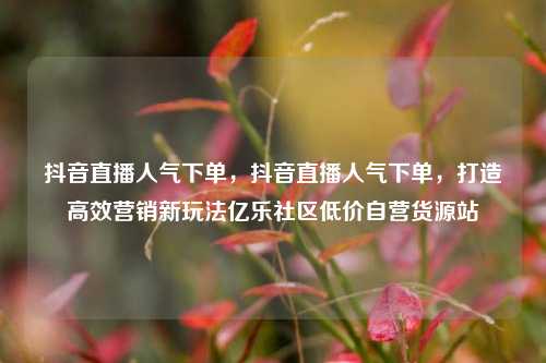 抖音直播人气下单，抖音直播人气下单，打造高效营销新玩法亿乐社区低价自营货源站  第1张