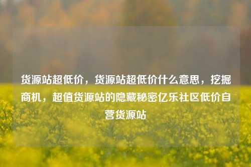 货源站超低价，货源站超低价什么意思，挖掘商机	，超值货源站的隐藏秘密亿乐社区低价自营货源站  第1张