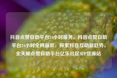 抖音点赞自助平台24小时服务，抖音点赞自助平台24小时全网最低	，探索抖音互动新趋势，全天候点赞自助平台亿乐社区SUP货源站  第1张