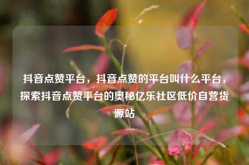 抖音点赞平台，抖音点赞的平台叫什么平台，探索抖音点赞平台的奥秘亿乐社区低价自营货源站  第1张