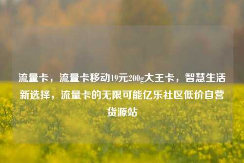 流量卡	，流量卡移动19元200g大王卡，智慧生活新选择，流量卡的无限可能亿乐社区低价自营货源站  第1张