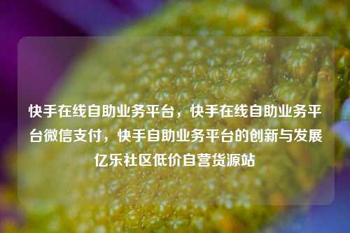 快手在线自助业务平台，快手在线自助业务平台微信支付	，快手自助业务平台的创新与发展亿乐社区低价自营货源站  第1张