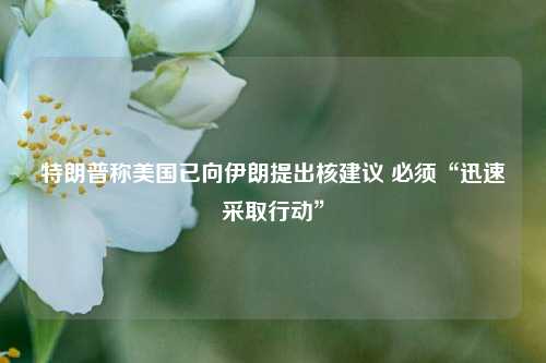 特朗普称美国已向伊朗提出核建议 必须“迅速采取行动	”  第1张