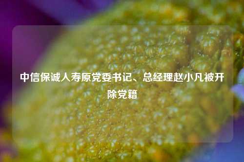 中信保诚人寿原党委书记、总经理赵小凡被开除党籍  第1张