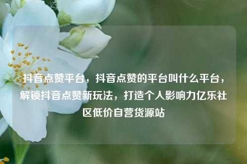 抖音点赞平台，抖音点赞的平台叫什么平台，解锁抖音点赞新玩法，打造个人影响力亿乐社区低价自营货源站  第1张