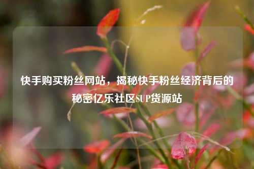 快手购买粉丝网站	，揭秘快手粉丝经济背后的秘密亿乐社区SUP货源站  第1张