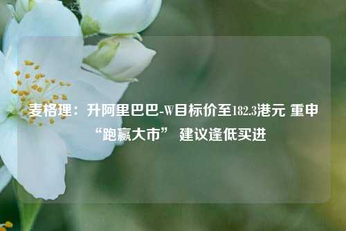麦格理：升阿里巴巴-W目标价至182.3港元 重申“跑赢大市	” 建议逢低买进  第1张