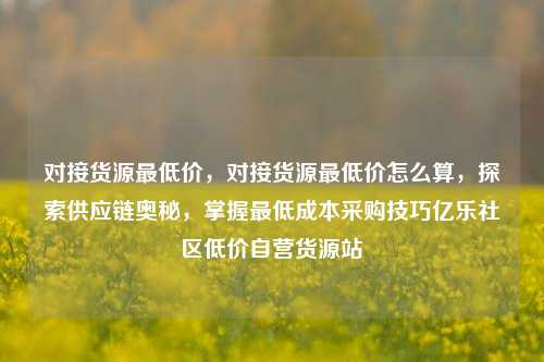 对接货源最低价	，对接货源最低价怎么算，探索供应链奥秘，掌握最低成本采购技巧亿乐社区低价自营货源站  第1张
