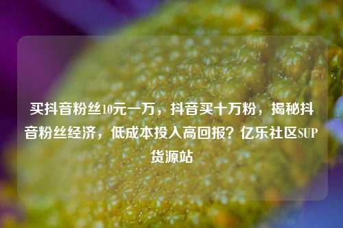 买抖音粉丝10元一万，抖音买十万粉，揭秘抖音粉丝经济，低成本投入高回报？亿乐社区SUP货源站  第1张