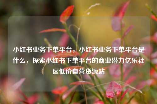 小红书业务下单平台	，小红书业务下单平台是什么，探索小红书下单平台的商业潜力亿乐社区低价自营货源站  第1张