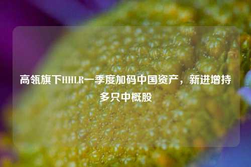 高瓴旗下HHLR一季度加码中国资产，新进增持多只中概股  第1张