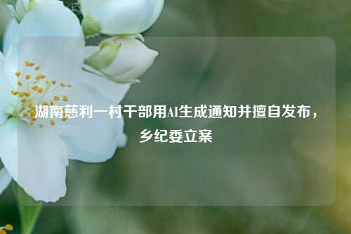 湖南慈利一村干部用AI生成通知并擅自发布，乡纪委立案  第1张