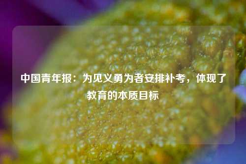 中国青年报：为见义勇为者安排补考	，体现了教育的本质目标  第1张